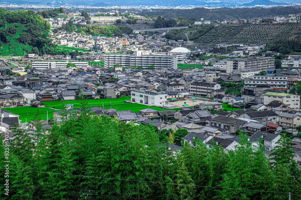 Obraz premium 自然溢れる町