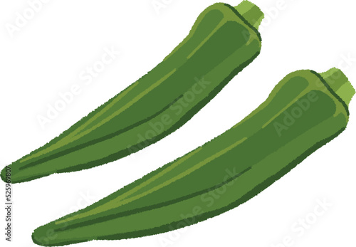 オクラのイラスト