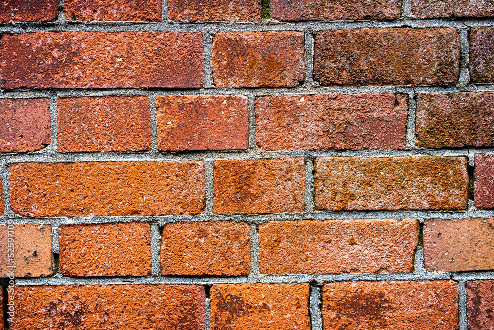 Fototapeta premium レンガ