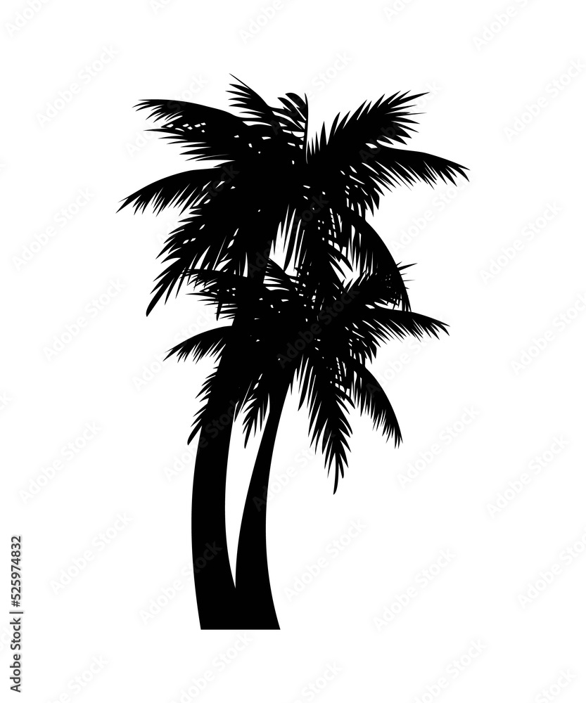 Coconut silhouette picture png for decoration Coconut silhouette picture png for decoration