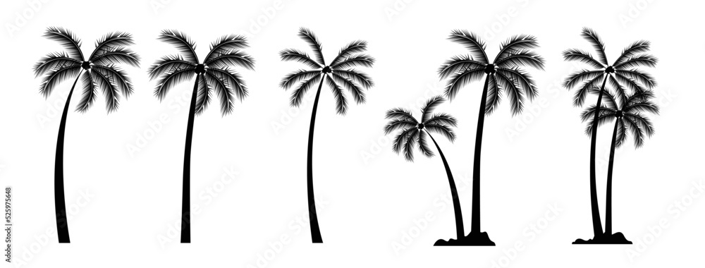  Palm tree silhouette vector graphic
