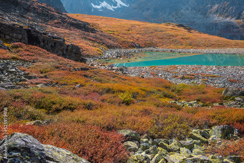 Colorful autumn landscape with sunlit multicolor flora and turquoise mountain lake. Motley vegetation and stones with view to beautiful alpine lake in sunlight. Vivid autumn colors in high mountains.