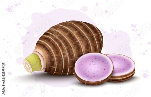 Taro Root Vegetable with two round slices of Taro Root vector illustration