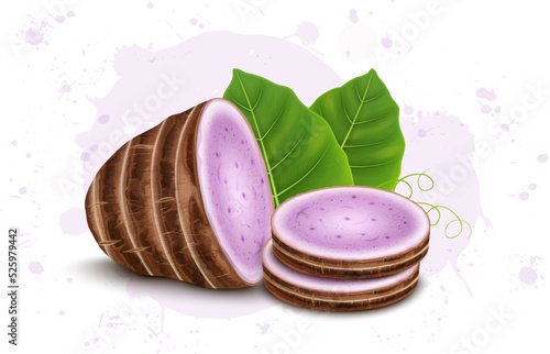Half Piece of Taro Root Vegetable with Two round slices and Green leaves of taro root vegetable vector illustration