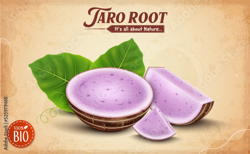 Taro Root vegetable Pieces vector illustration with Taro Root slices on brown background