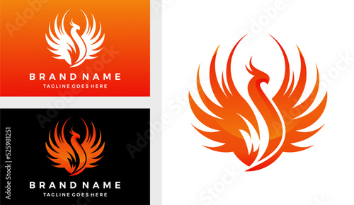 Premium phoenix logo design vector illustration