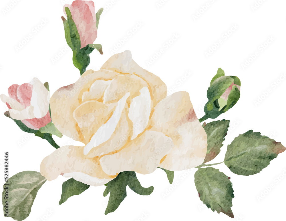 watercolor blooming rose branch flower bouquet watercolor blooming rose branch flower bouquet