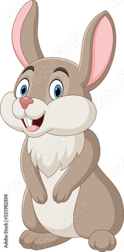 Cartoon funny rabbit on white background
