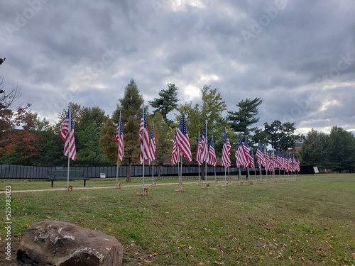 Vietnam Veterans Memorial Moving Wall and flags