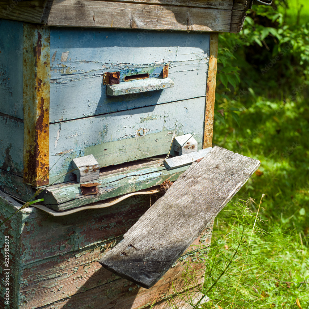 old broken hive