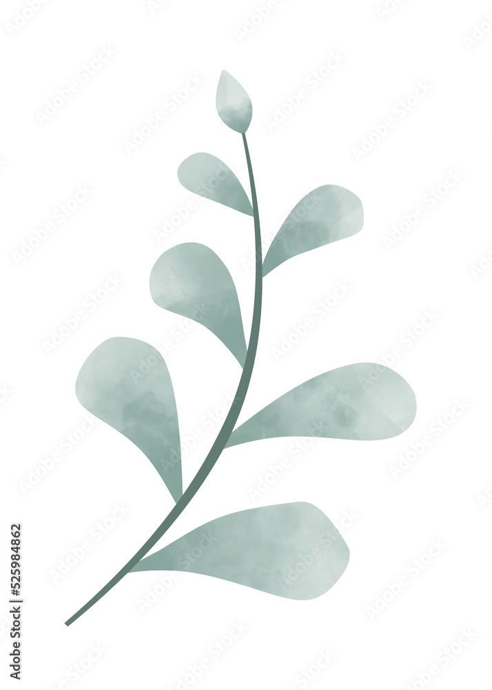 PNG. Green watercolor leaf.