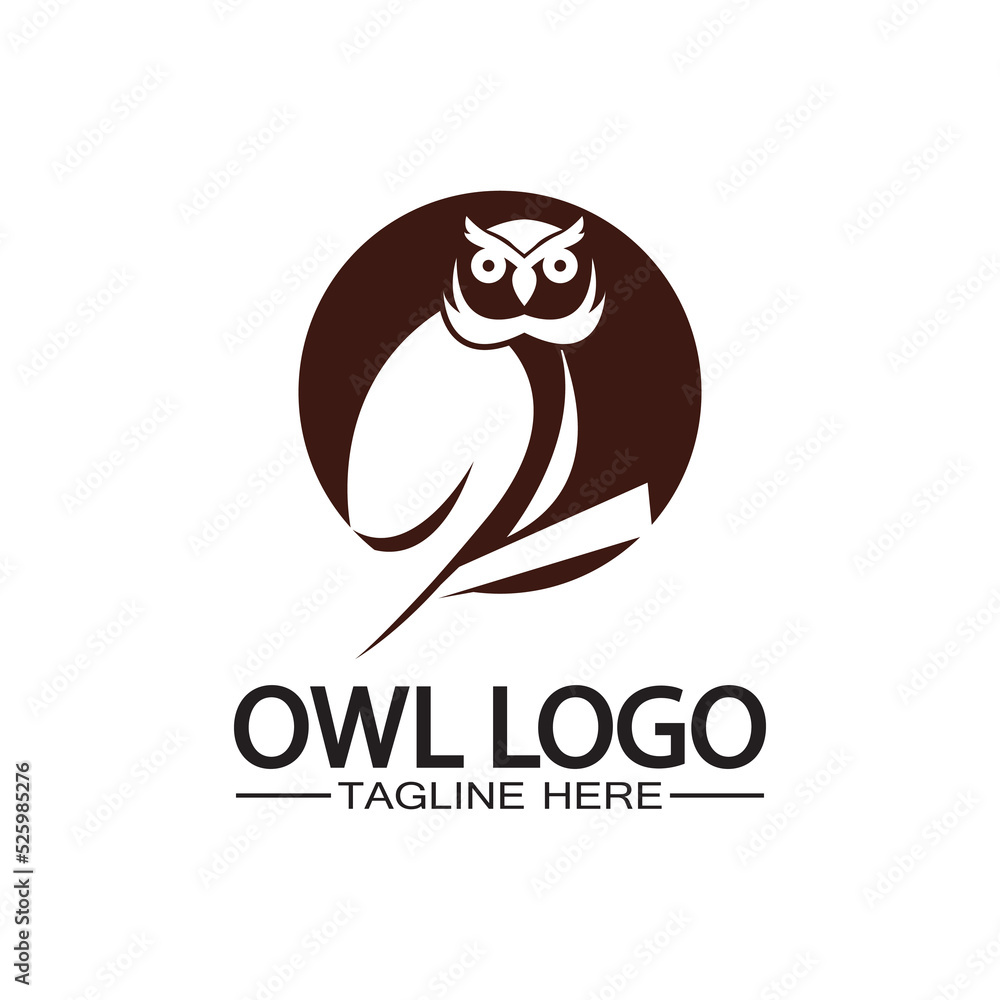 Obraz premium Owl logo vector template