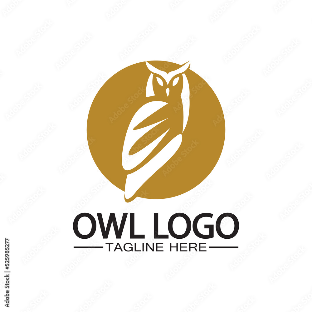 Obraz premium Owl logo vector template