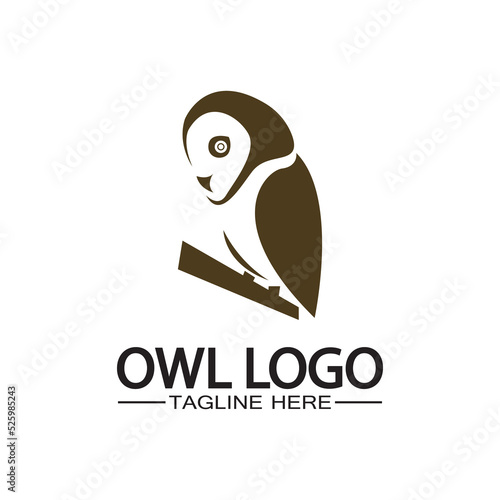 Fototapeta Naklejka Na Ścianę i Meble -  Owl logo vector template
