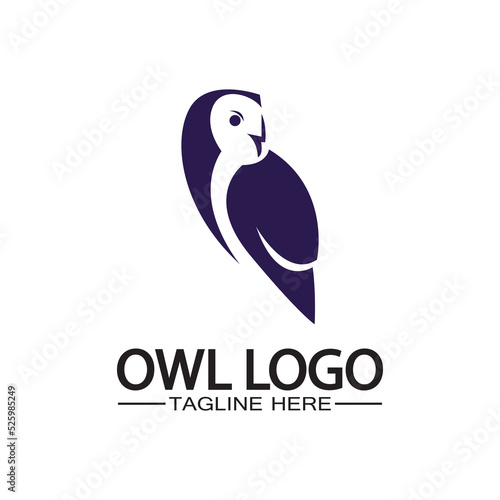 Owl logo vector template