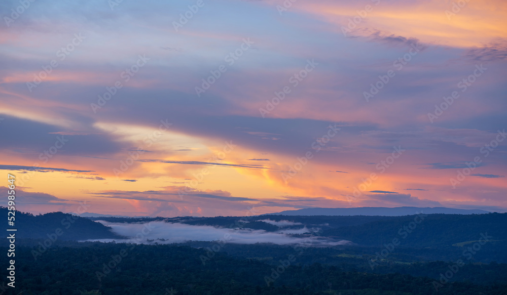 beautiful sunset landscape from the forest in the national park on top mountain. sunset twilight on the top mountain with sea of fog.