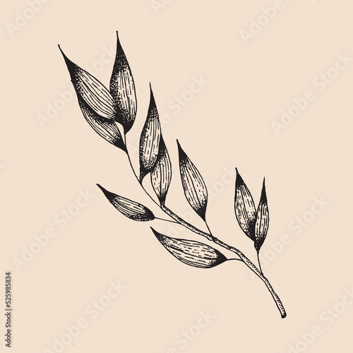leaf integra