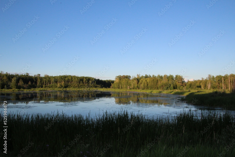 Evening In The Wetlands, Elk Island National Park, Alberta