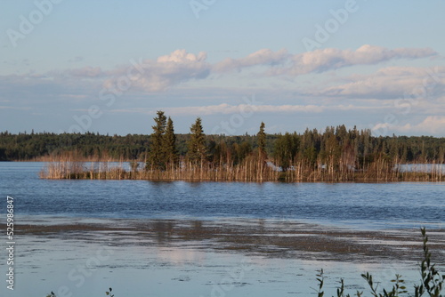 lake in the forest  Elk Island National Park  Alberta