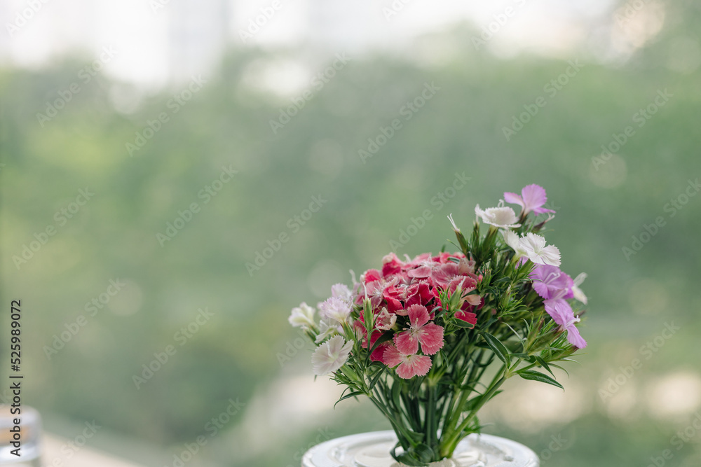 close up of purple, pink and white flowers, green background