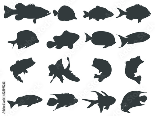 Canvas Print Fish silhouettes Collection, Fish silhouettes Vector