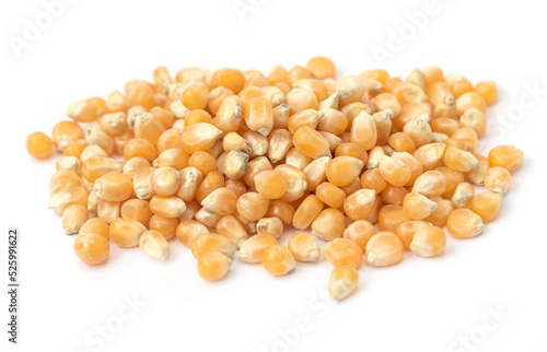 Corn seeds on a white background.