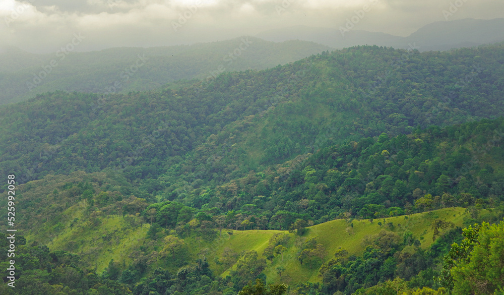 Fototapeta premium landscape of the mountains