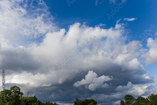 Fragment of the sky with clouds over the tree tops