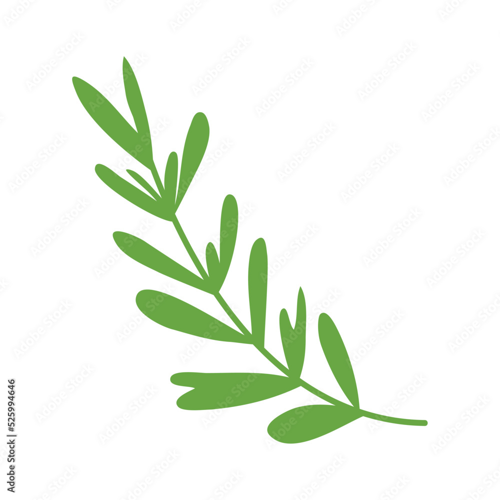 Obraz premium branch with leafs