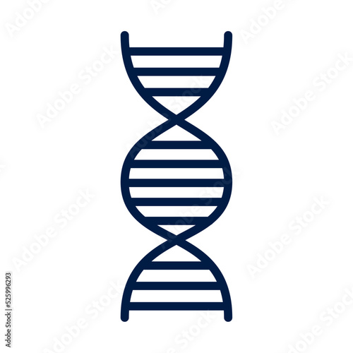 dna molecule genetic