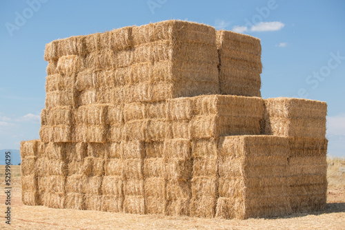 Bale of straw agriculture fields, Valensole,Provence,PACA Region,South,France,Eu Fototapet