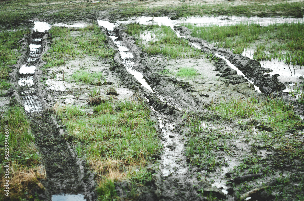  Ground background with wheel traces and green grass.