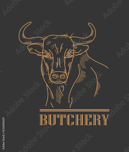 Poster signboard with bull sketch portrait and text butchery on black background. Vector illustration