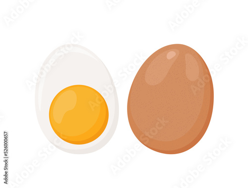 Raw brown Chicken egg whole and boiled cut in half with yolk, vector illustration isolated on white background