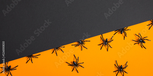 Halloween decorations concept. Halloween with with big spiders on orange and black background. Flat lay, top view, copy space