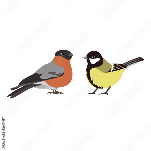 Attractive birds bullfinch and titmouse isolated on a white background.Vector birds can be used in textiles, postcards, children's books.