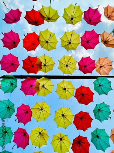 One with a thousand umbrellas