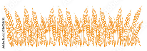 Cereal. Horizontal banner. Spikelets of wheat. Agriculture wrapper. Vector line. Editable outline stroke thickness.