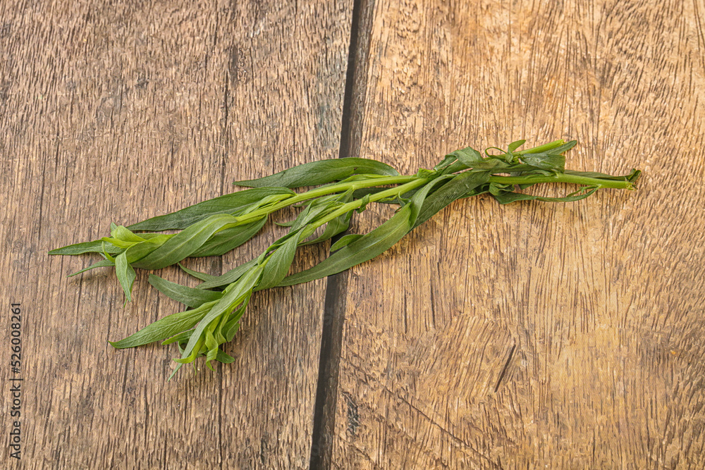 Green tarragon herb spice for cooking Green tarragon herb spice for cooking