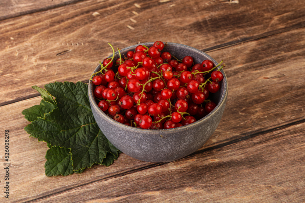 Ripe sweet organic red currant heap Ripe sweet organic red currant heap