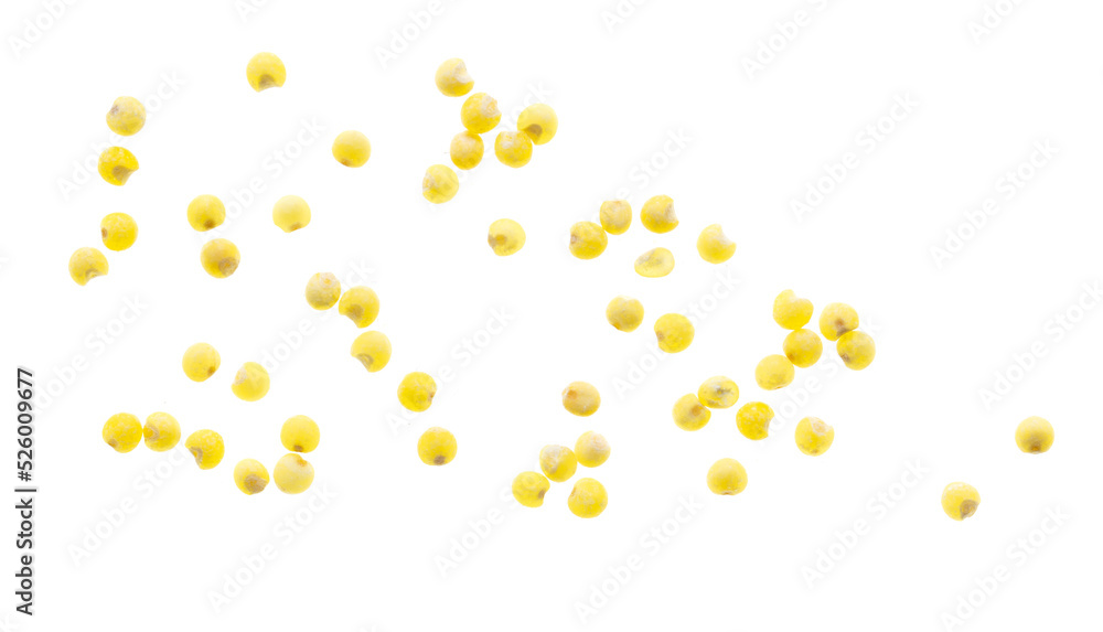 Millet groats isolated on a white background. Millet groats isolated on a white background.