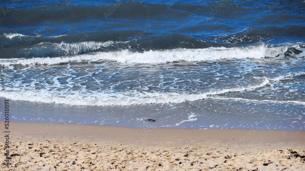 Waves on sand seashore