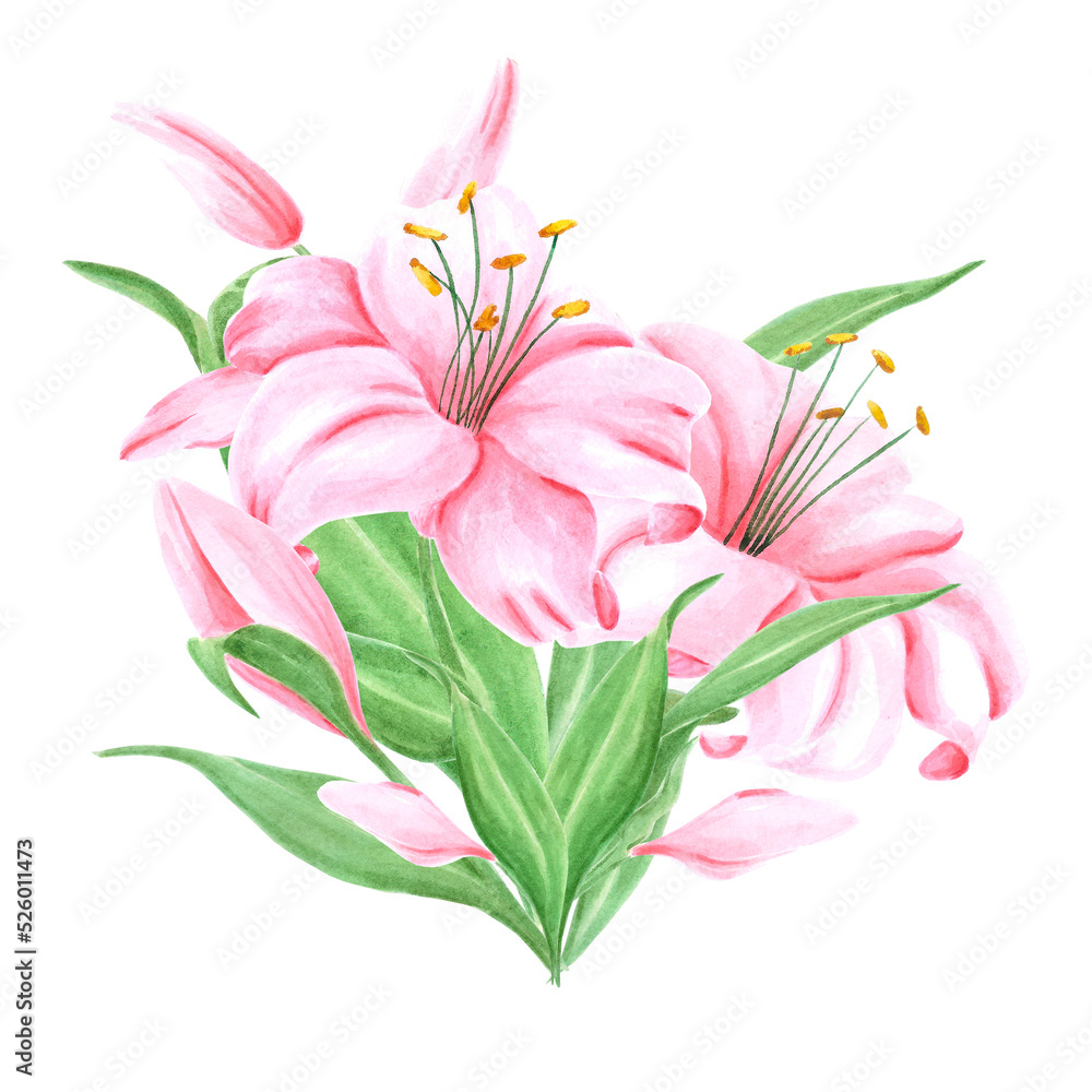 Handdrawn Watercolor pink lily flower bouquet with green leaves on the white background. Scrapbook design, typography poster, label, banner, post card.