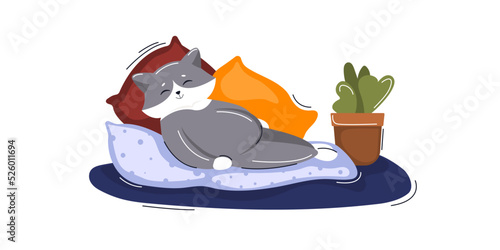 Cat sleeping sweetly on couch. Concept of caring for pets, comfort, animal love.