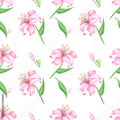 Handdrawn lily flowers seamless pattern. Watercolor pink lily on the white background. Scrapbook design, typography poster, label, banner, textile.