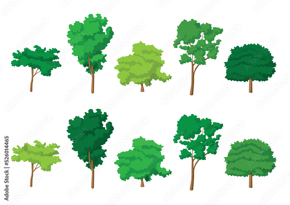 Fototapeta premium green tree fresh set collection isolated on white background illustration vector 