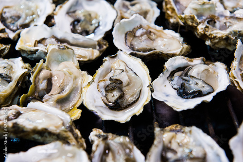 close-up of fresh raw oysters background