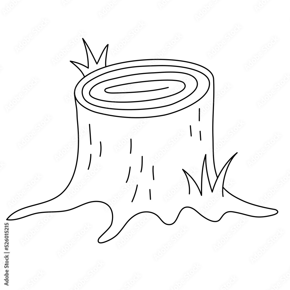Tree stump isolated on white background Sketch of old forest stump