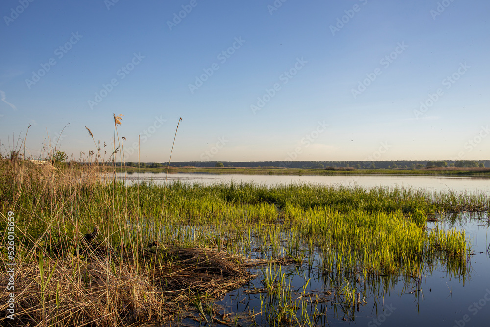 Scenic landscape with foggy river and forest on the horizon. Mystical morning landscape on the pond. Dawn over the lake. Scenic landscape with foggy river and forest on the horizon. Mystical morning landscape on the pond. Dawn over the lake.