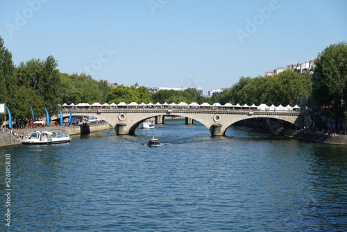 Ile de la cité à Paris et Pont-Neuf